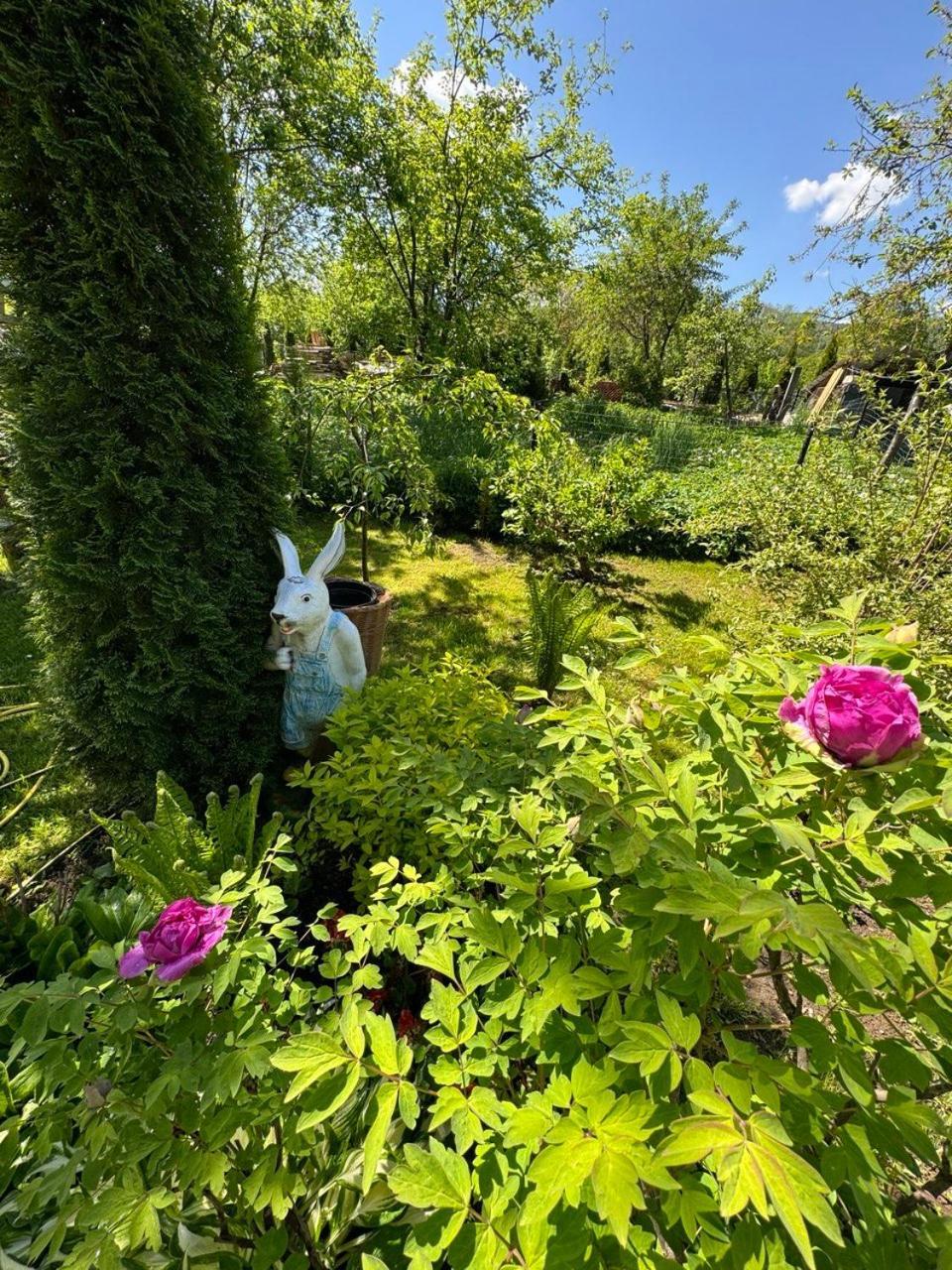 Girske Povitria 2 Villa Yaremche Luaran gambar